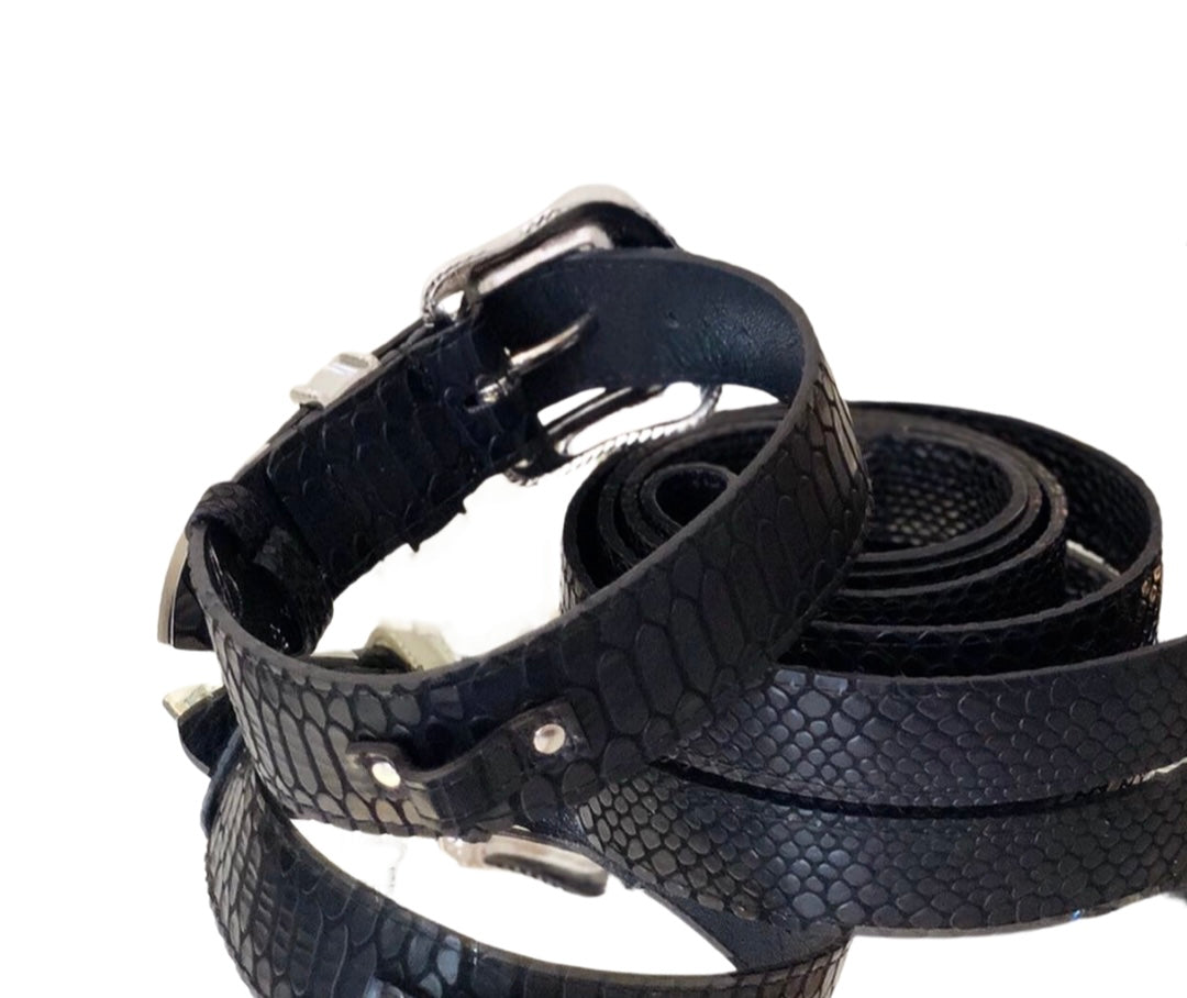Coiled black leather pet collar and leash set with embossed python skin texture and silver metal buckle and hardware.