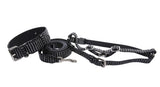 Black leather dog collar and leash set with silver horizontal stripes and silver metal buckles and clips, shown coiled and laid flat on white background.