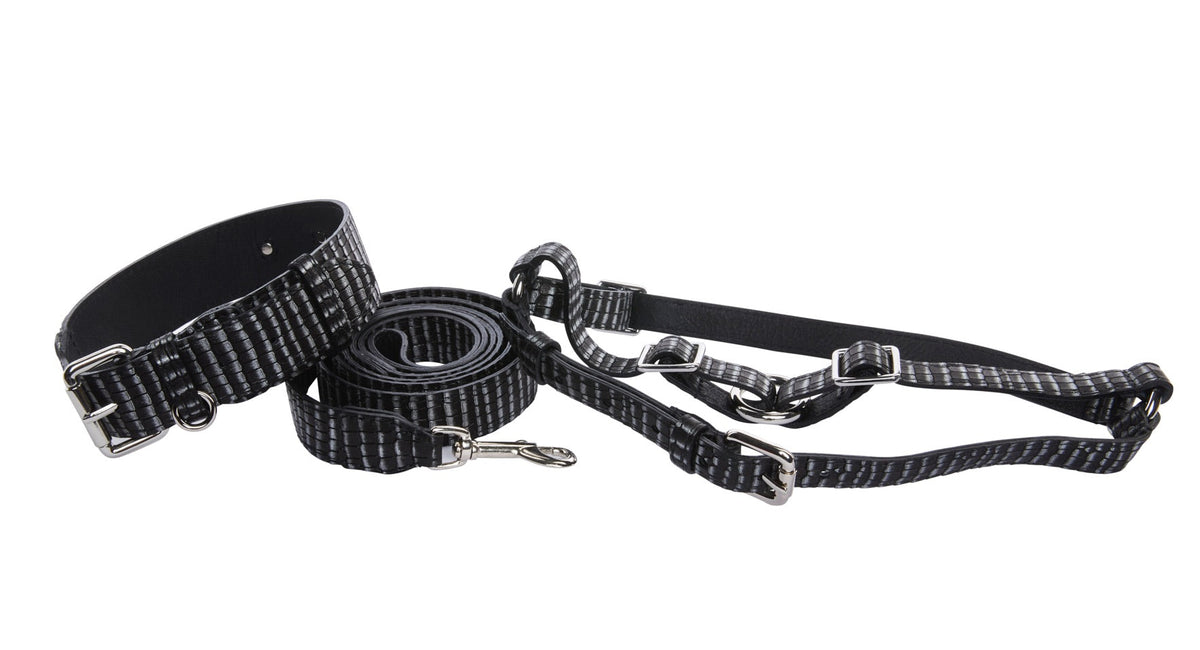 Black leather dog collar and leash set with silver horizontal stripes and silver metal buckles and clips, shown coiled and laid flat on white background.