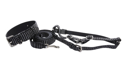 Black & Silver Striped Italian Leather Classic Collar