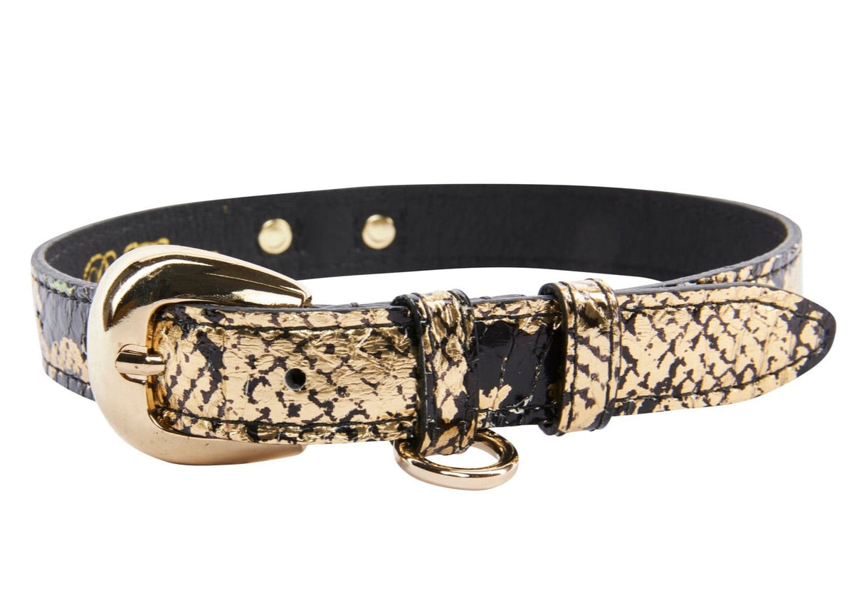 Black and gold snake-patterned collar with shiny gold oval buckle and small gold D-ring, displayed flat against white background.