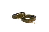 Olive green snake-textured collar and leash set with gold-tone buckle and clasp, coiled on a white background.