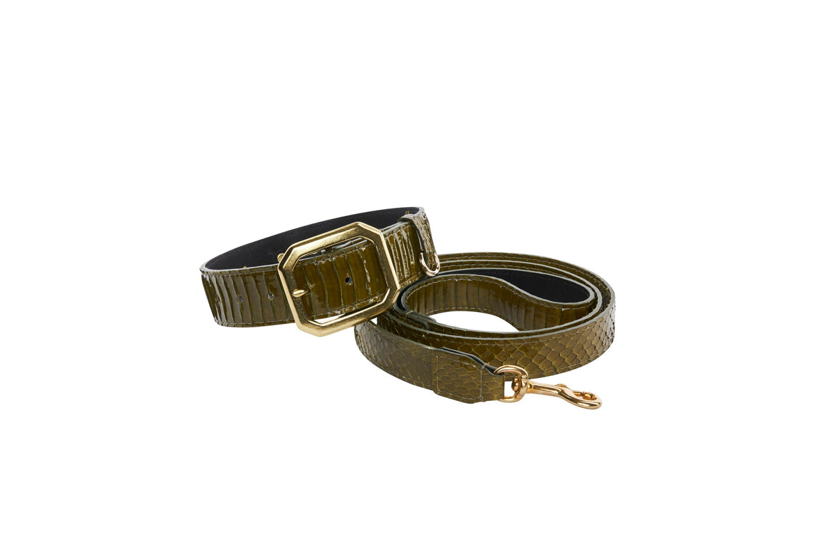 Olive green snake-textured collar and leash set with gold-tone buckle and clasp, coiled on a white background.