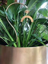 Gold-toned metal suncatcher with a sun shape, crescent, and teardrop crystal hanging amid vibrant green plant leaves in a gold planter.