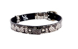 Black and white viper snake patterned collar with silver oval buckle and rivet hardware, shown in a circular shape on a white background.