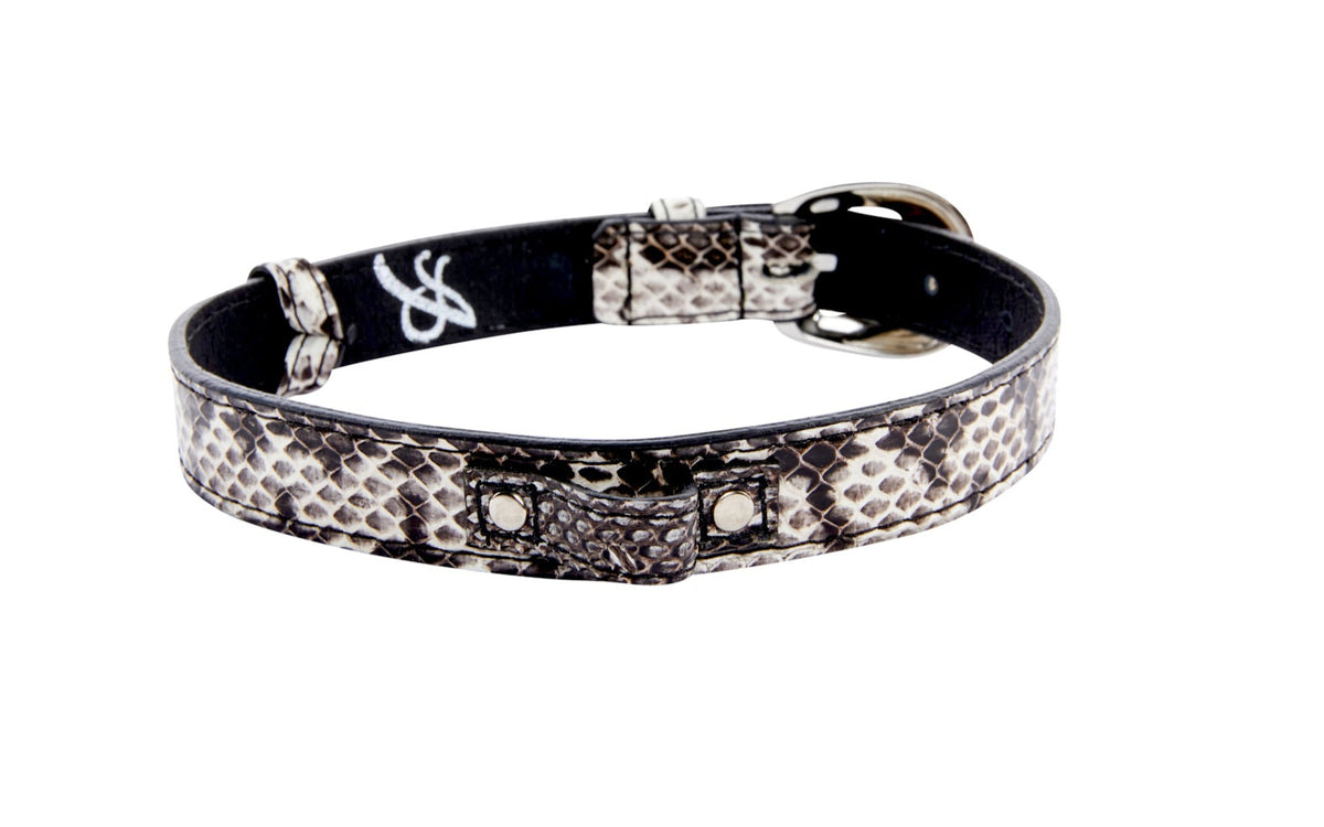 Black and white viper snake patterned collar with silver oval buckle and rivet hardware, shown in a circular shape on a white background.