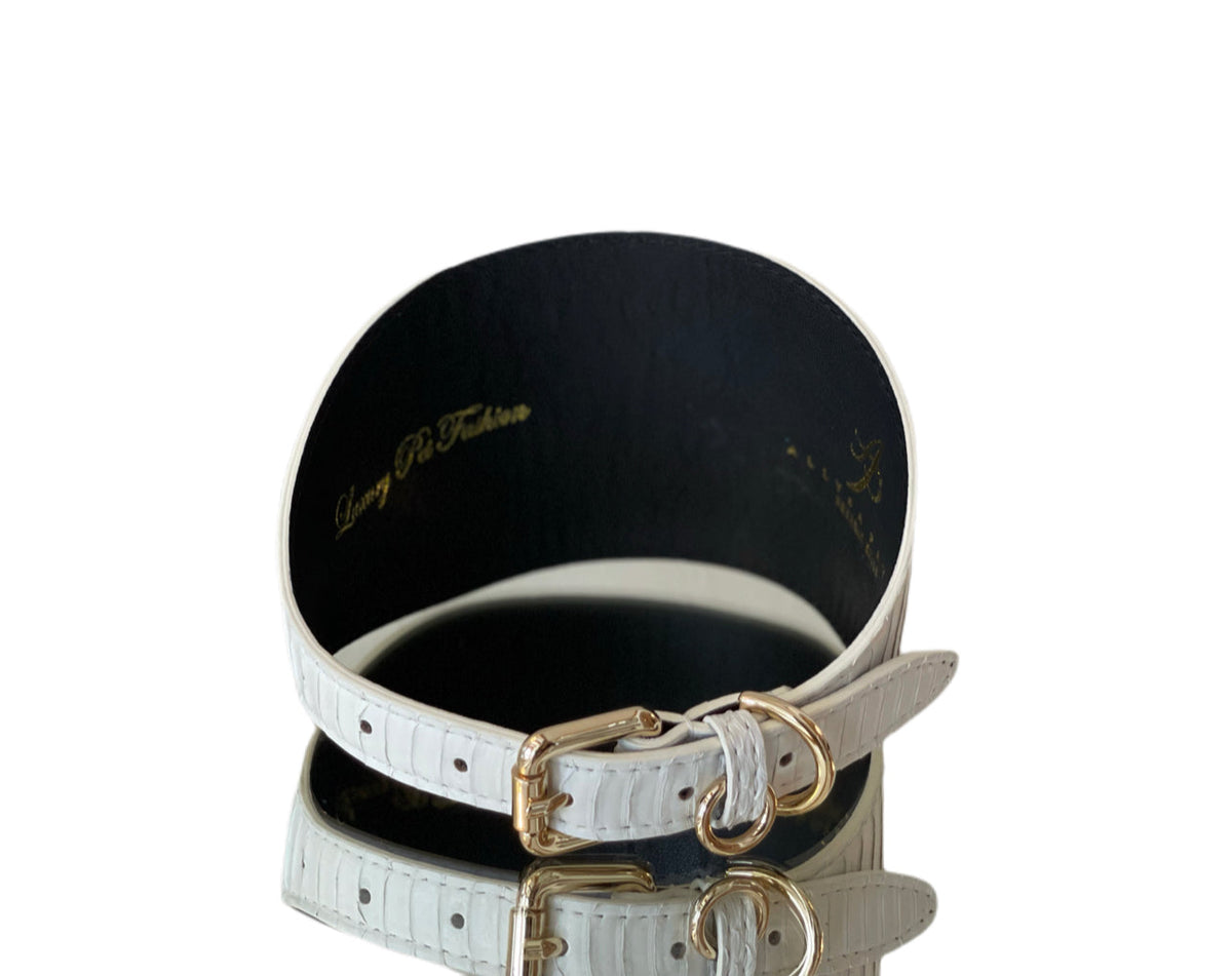 Matte white textured oval pet collar with gold-tone buckle and D-ring, photographed on a reflective surface against a white background.