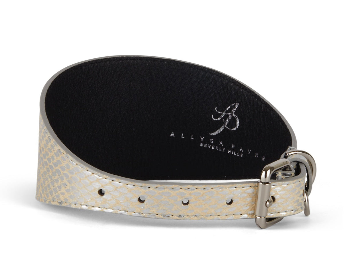 Curved silver snake-patterned collar with a 3-inch width, black inner lining, and a silver metal buckle closure