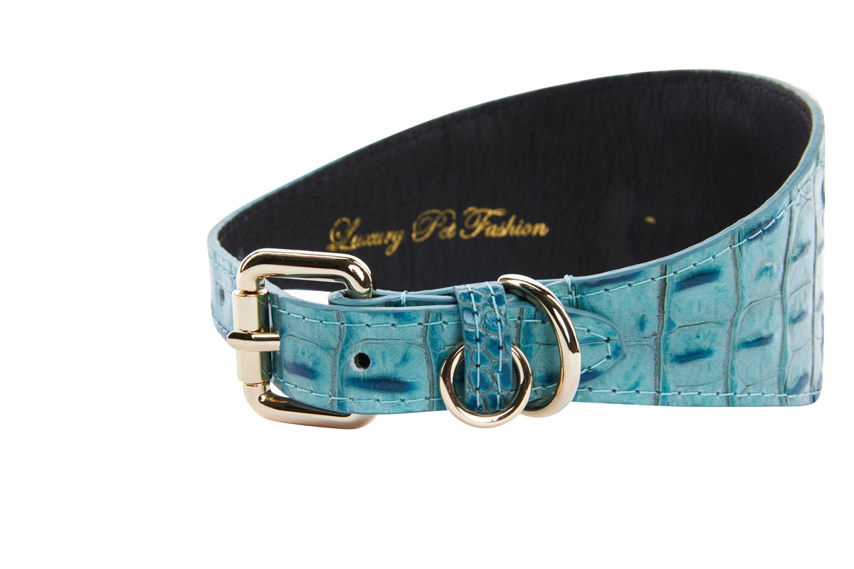 Turquoise embossed croc pattern Italian leather collar with 3-inch width and gold-tone buckle and D-ring hardware, curved to show interior text.
