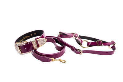 Purple patent Italian leather collar, leash, and harness set with sparkling Swarovski crystal hardware on pet