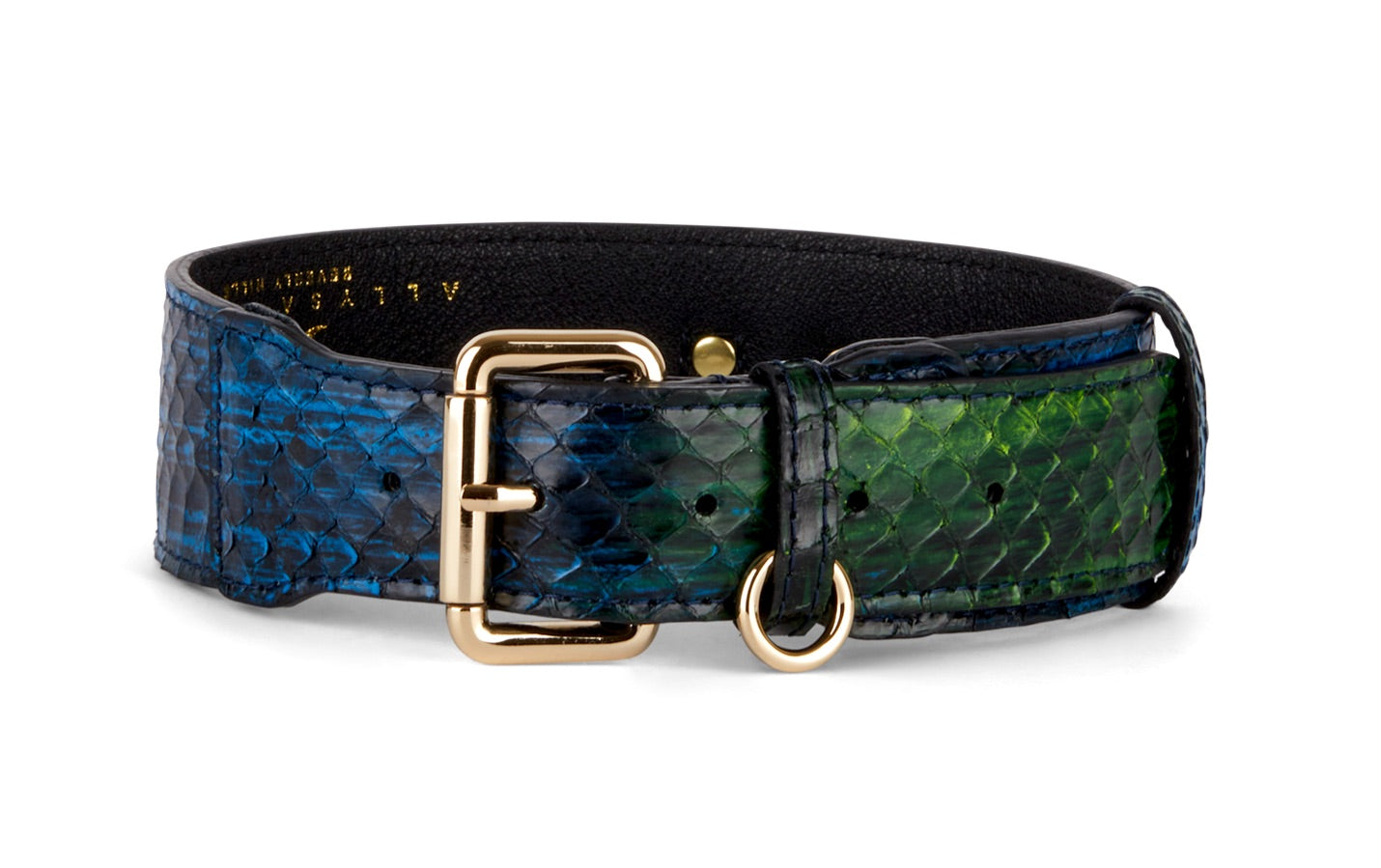 Blue, Green, Black, Yellow Snake Classic Collar featuring gold hardware