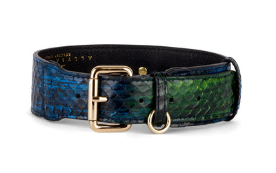 Blue, Green, Black, Yellow Snake Classic Collar featuring gold hardware