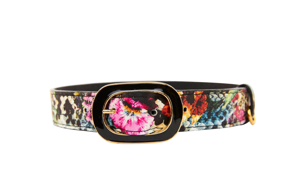 Italian leather collar with a colorful snake print pattern and vibrant pink floral accents, featuring a gold-edged black buckle on a white background.