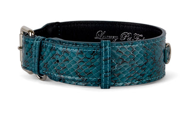 Teal and Black Snake Classic Collar
