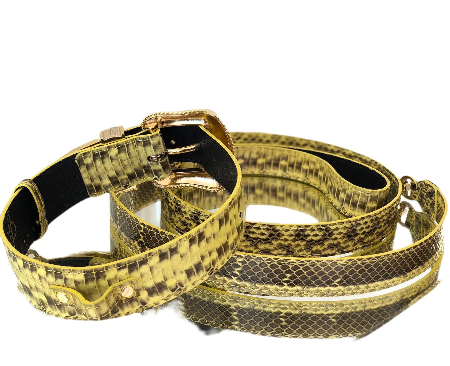 Luxury Pet Fashion Soft Yellow & Black Snakeskin Collar & Leash Set With Our Swarovski Crystal Hardware
