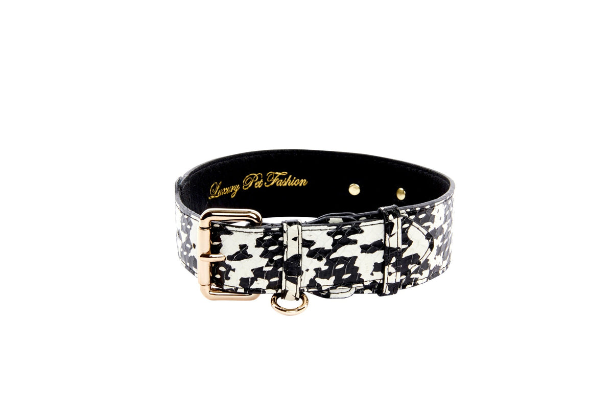 Black and white snake-patterned pet collar with gold buckle, D-ring, and adjustment holes, shown on white background in a circular shape.
