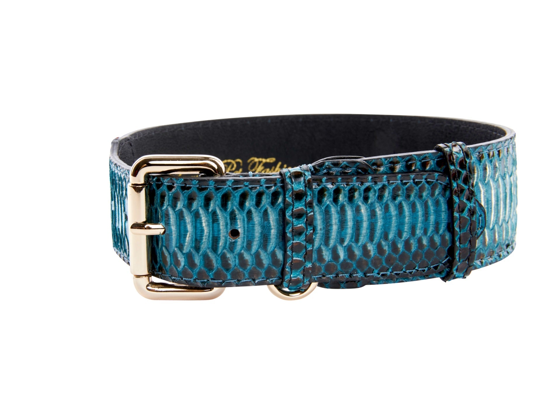 Turquoise, Black Snake Classic Collar With Gold Classic Hardware by Allysa Payne Beverly Hills - main product image for Resin Society