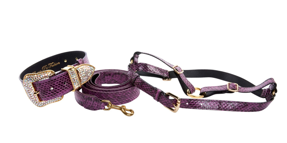 Purple and black viper snake patterned collar, leash, and harness set with gold hardware and a large rectangular buckle encrusted with Swarovski crystals on the collar.