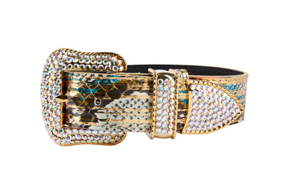 Luxury Pet Fashion Scottsdale Collection collar with gold snakeskin pattern and Swarovski Crystal hardware