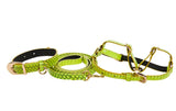XS Light Neon Green Snake Collar Leash Harness Set with gold vintage hardware