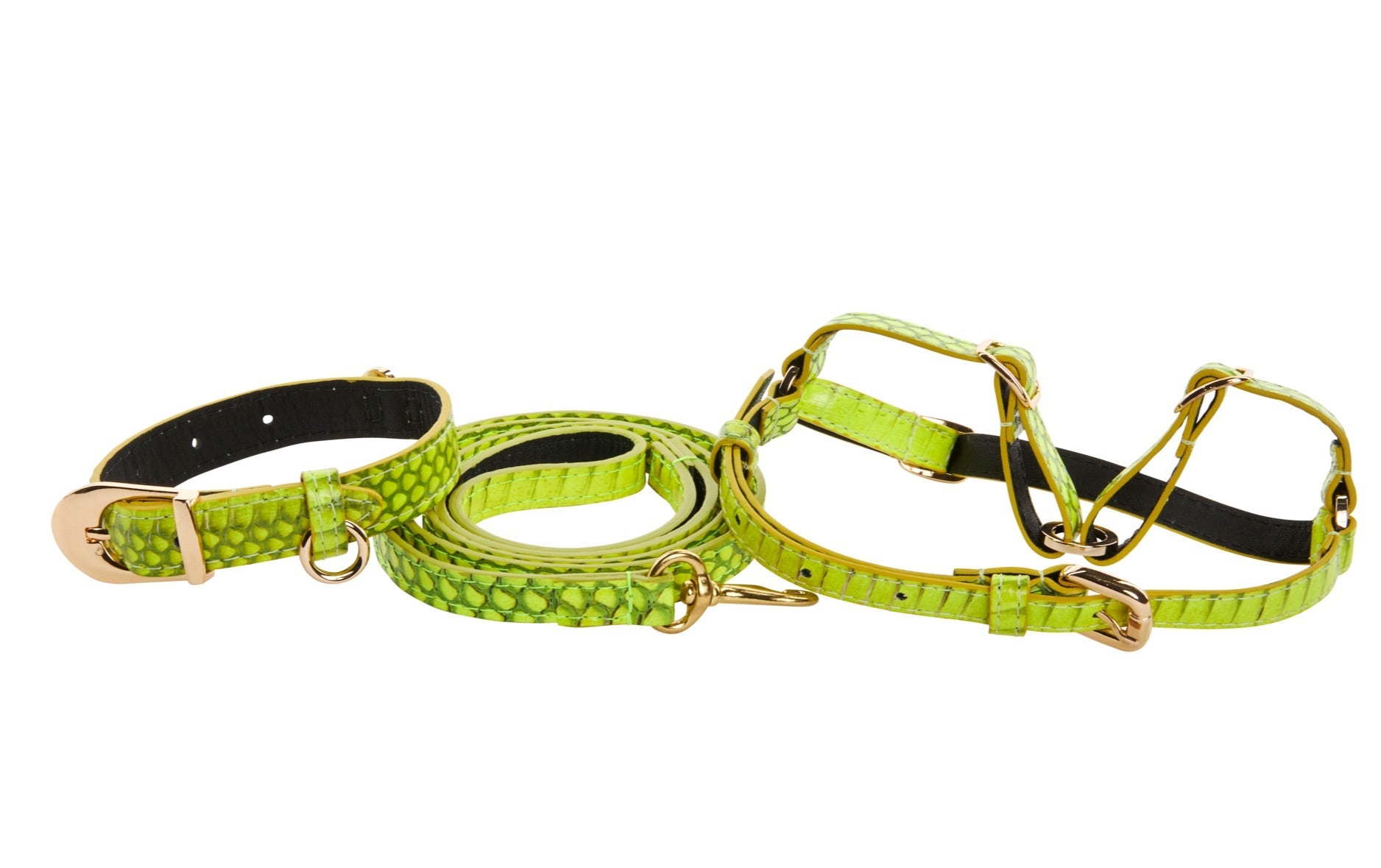 XS Light Neon Green Snake Collar Leash Harness Set with gold vintage hardware
