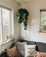 Green trailing plant in a circular metal wall planter above a gray sofa adorned with patterned, furry, and text pillows, near two bright windows with wooden sills.