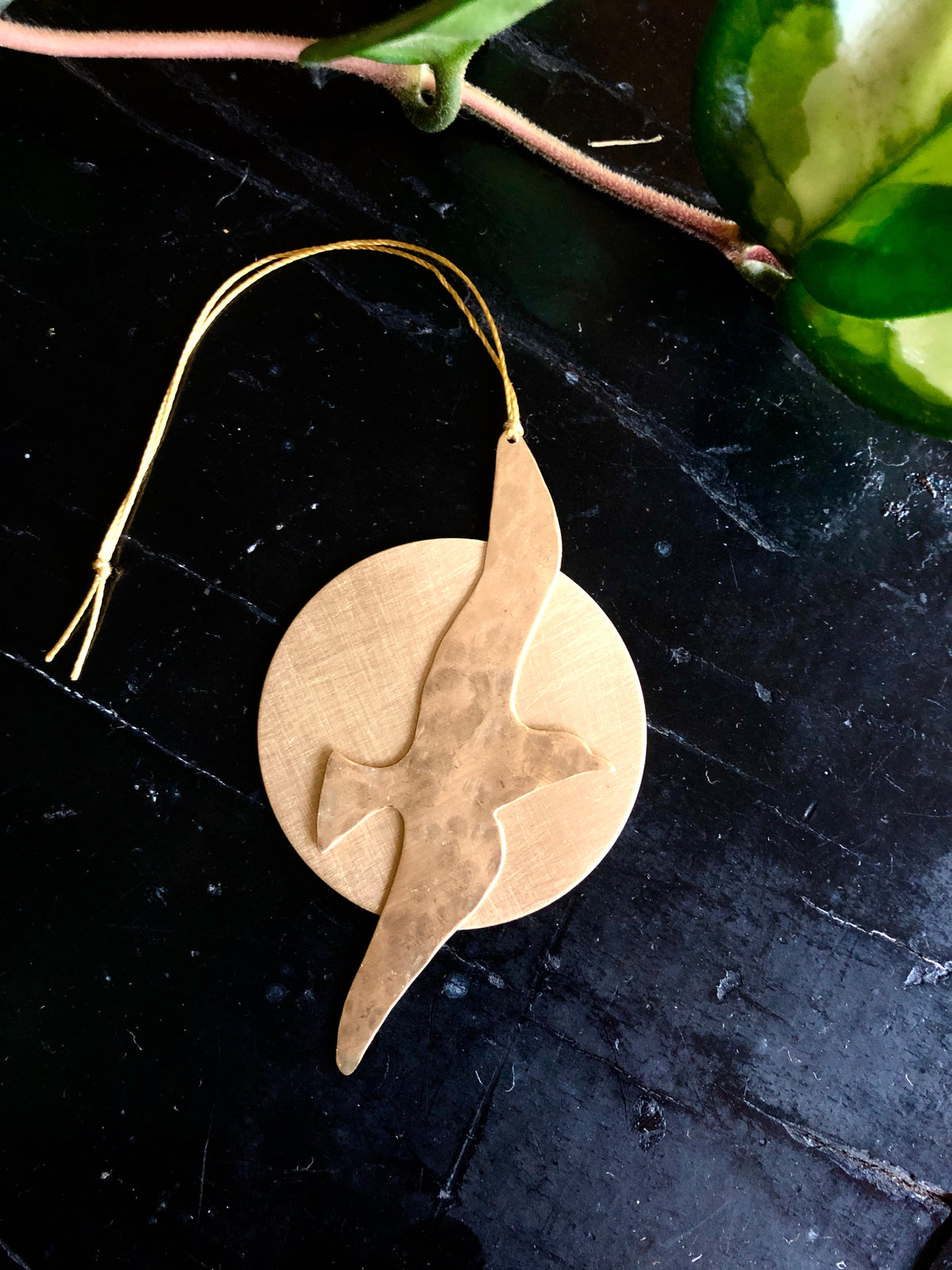 Smooth round wooden ornament with a bird silhouette cutout, shown on a dark textured surface with a green leafy plant nearby.