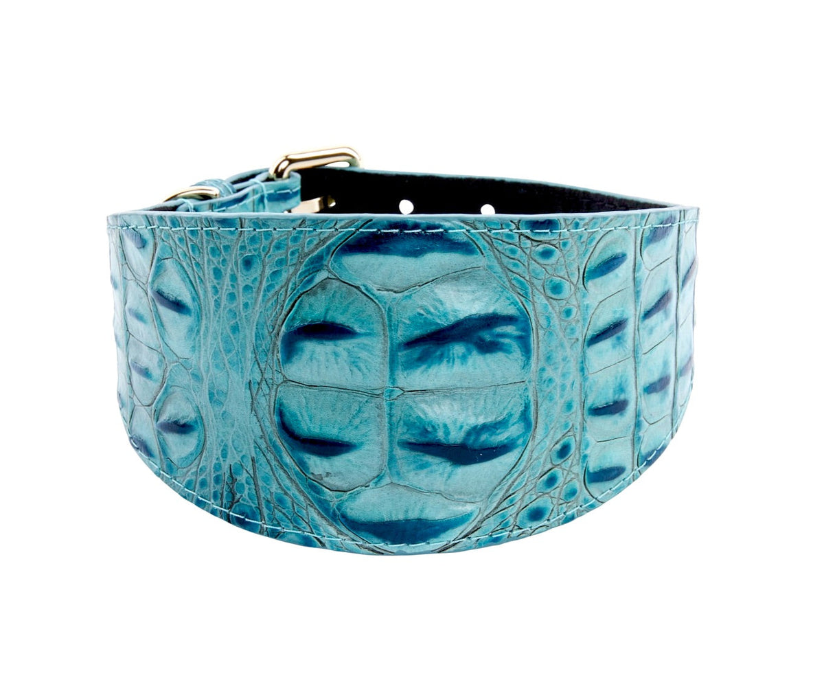 Turquoise embossed croc pattern Italian leather dog collar, 3 inches wide, featuring a broad design with multiple adjustment holes and silver buckle hardware.