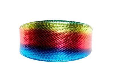 Pride Collection.
Rainbow Snake 3” Wide Style Collar