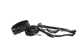 Black and silver striped leather dog collar, leash, and harness set with silver metal hardware, arranged on a white background.