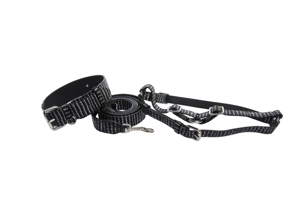 Black and silver striped leather dog collar, leash, and harness set with silver metal hardware, arranged on a white background.