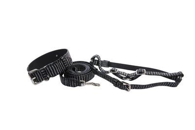 Black & Silver Striped Italian Leather Classic Collar