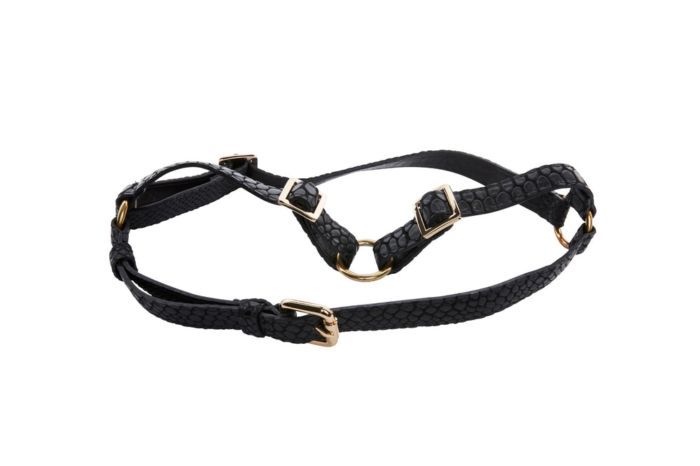 Black embossed snake-pattern Italian leather harness with gold-tone buckles and rings, laid flat on a white background.