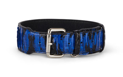 Black and royal blue snake pattern dog collar with silver hardware