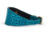 Turquoise wide style collar with crocodile texture and a gold-toned buckle on a white background.