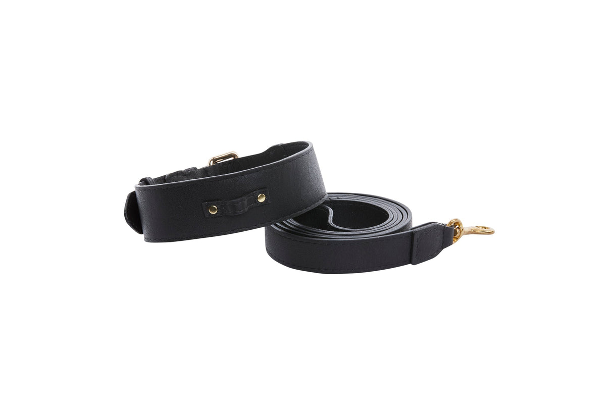 Classic black leather dog collar with gold-tone hardware and matching coiled leash, displayed on a white background.