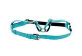 Turquoise leather harness with silver metal buckles and adjustable straps, shown on a white background