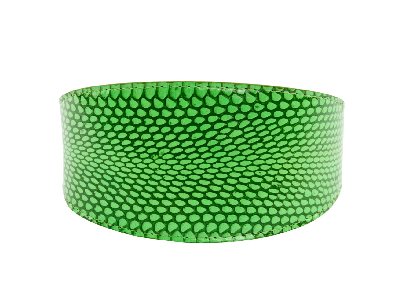Dark Neon Green Snake 3” Wide Style Collar by Allysa Payne Beverly Hills - main product image for Resin Society