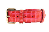Orange and pink glossy patent leather dog collar with crocodile texture, gold metal buckle, and D-ring for leash attachment, shown flattened from above.