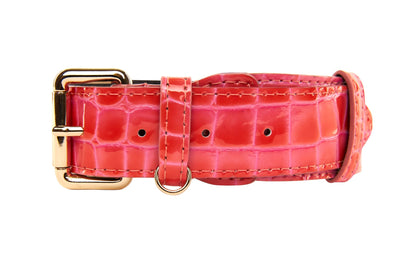 Orange & Pink Patent Leather Classic Collar