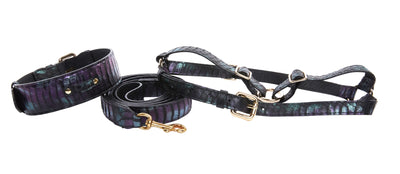 Black, Green, Purple Snake Classic Collar, Leash, Harness Set by Allysa Payne Beverly Hills - product image 2 for Resin Society