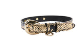 Black and gold snake-patterned collar with a gold oval buckle and a small gold ring, shown against a white background.