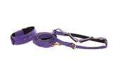 Purple Italian leather dog collar, leash, and harness set with gold-tone hardware and black inner lining, laid out on a white background.