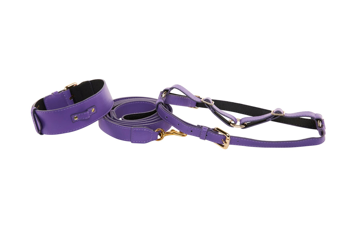Purple Italian leather dog collar, leash, and harness set with gold-tone hardware and black inner lining, laid out on a white background.