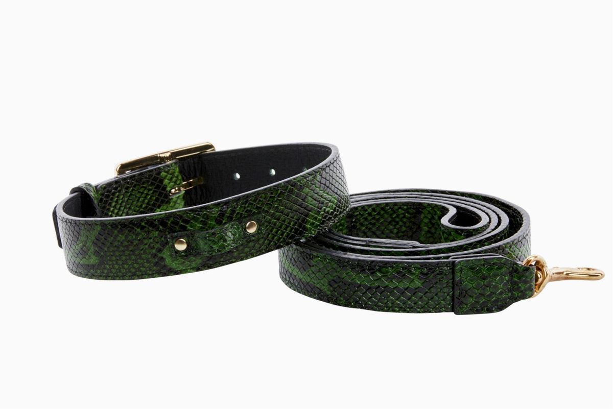Green and black embossed python pattern leather pet collar and matching leash with gold-tone hardware on a white background.