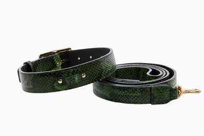 Luxury Pet Fashion Green and Black Embossed Python Italian Leather Collar & Leash Set