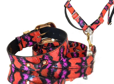 Luxury Pet Fashion- Orange by Allysa Payne Beverly Hills - product image 2 for Resin Society