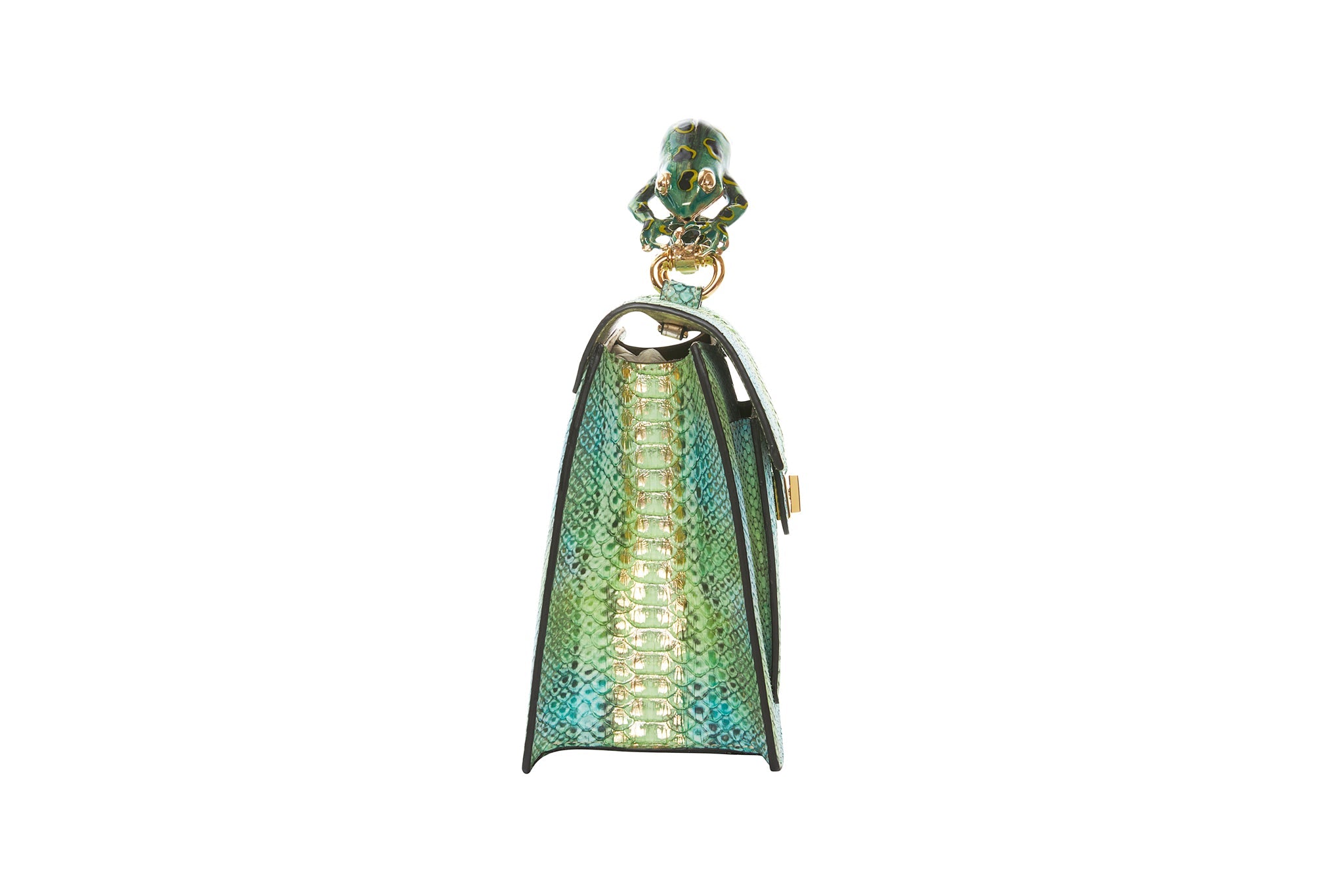 The Bullfrog by Allysa Payne Beverly Hills - product image 9 for Resin Society