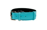 Turquoise blue Italian leather dog collar with silver buckle and hardware, shown flat against a white background.