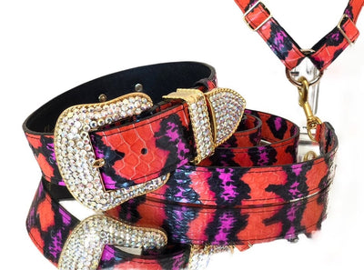 Luxury Pet Fashion- Orange by Allysa Payne Beverly Hills - main product image for Resin Society